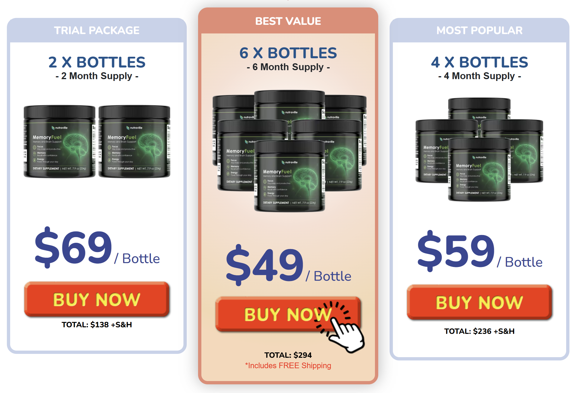 memoryfuel price